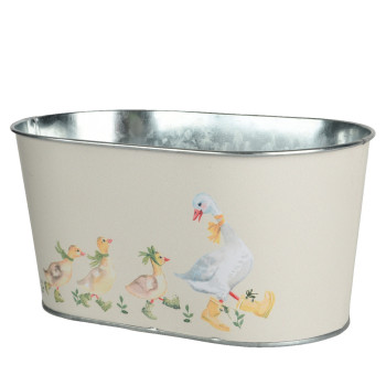 RUUKKU HANHI+POIKASET PELTI OVAALI