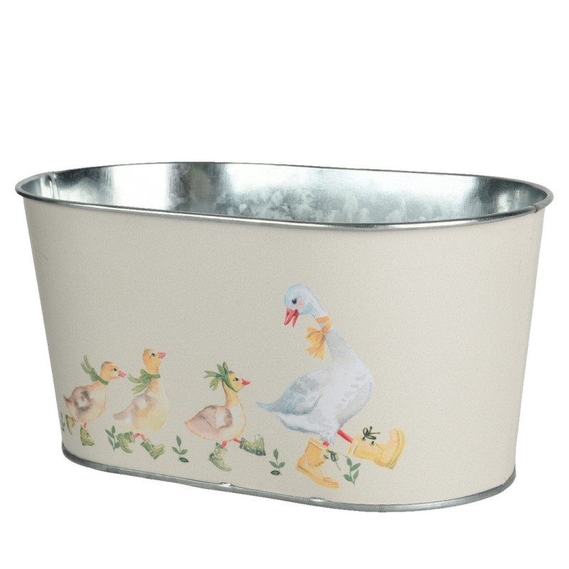 RUUKKU HANHI+POIKASET PELTI OVAALI