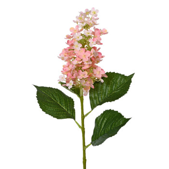 HORTENSIAOKSA VPUN P 85