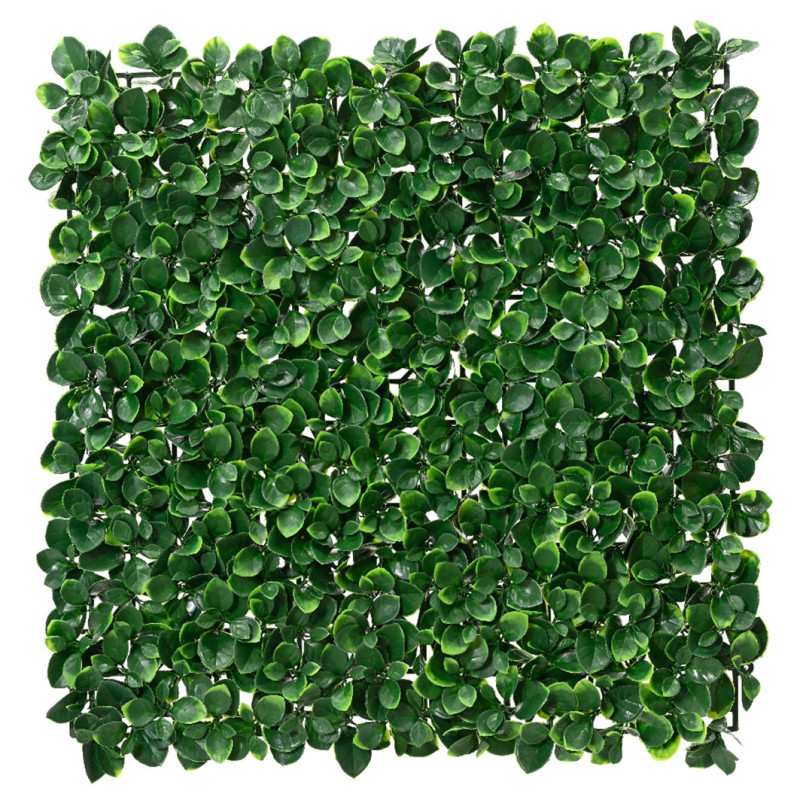 VIHERSEINÄ 50X50 BUXUS UV JA VEDENK