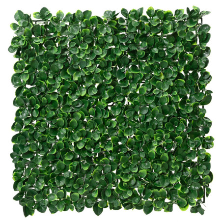 VIHERSEINÄ 50X50 BUXUS UV JA VEDENK