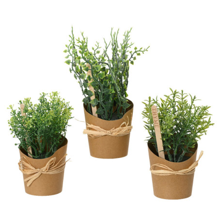 VIHERKASVISRJ/3 YRTIT PAHVI K 20 CM
