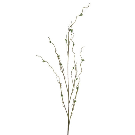 SALIX OKSA VIHREÄ+PIKKU LEHTIÄ K120