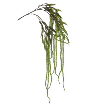 AMARANTHUS VI ROIKKUVA K 100 CM