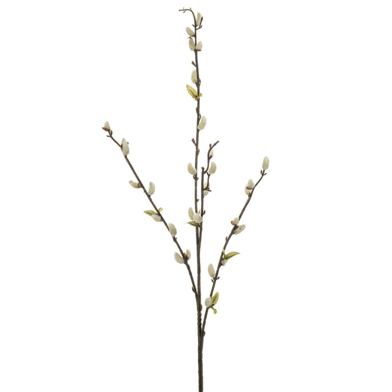 PAJUNKISSA OKSA NATURA P 78