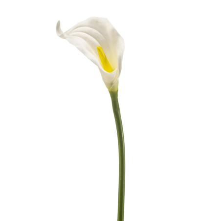 KALLA VALKOINEN K 65 CM