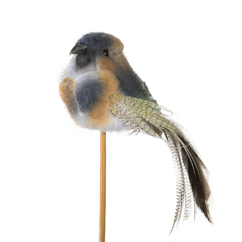 LINTUTIKKUNPP/10 SININEN TOMMY