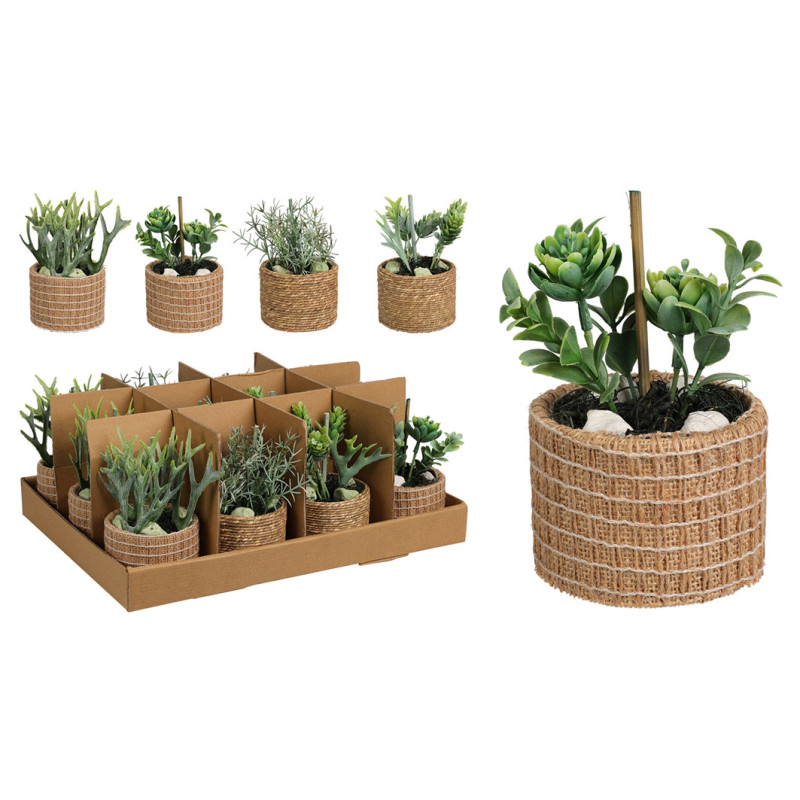 VIHERKASVISRJ/4 MEHIKASV KANGASRUUK