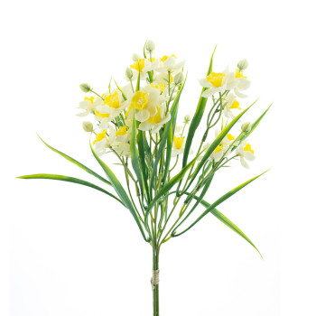 NARSISSIKIMPPU VA-KE P 50 CM