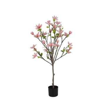 MAGNOLIAPUU VPUN K 120 CM RUUKUSSA