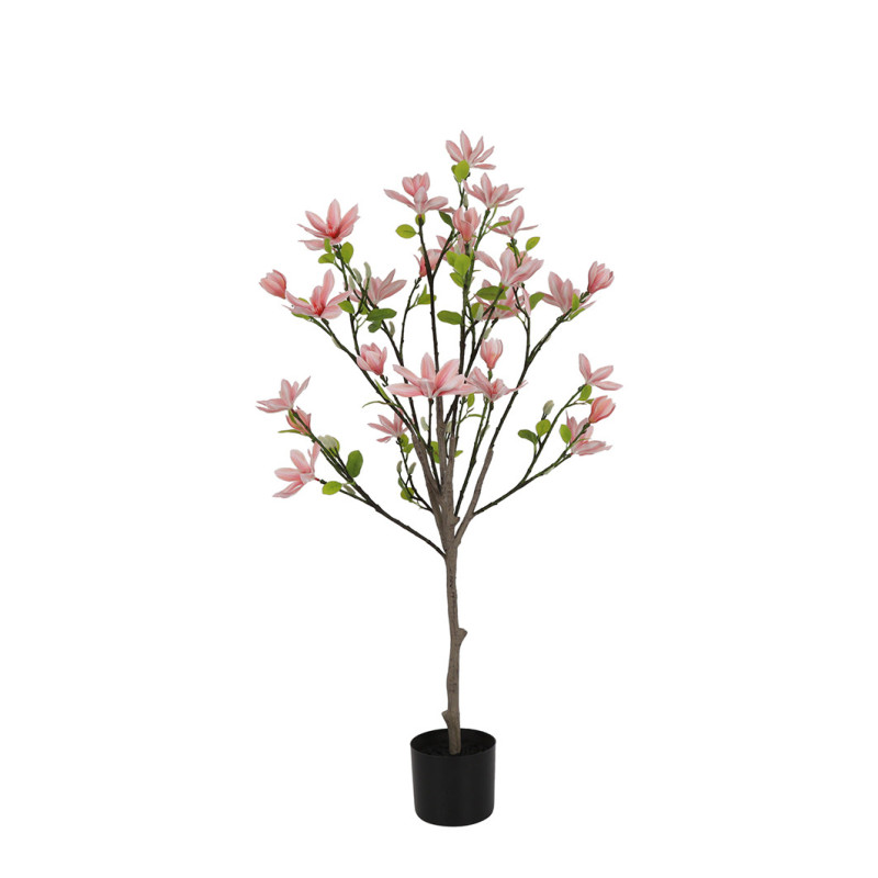 MAGNOLIAPUU VPUN K 120 CM RUUKUSSA