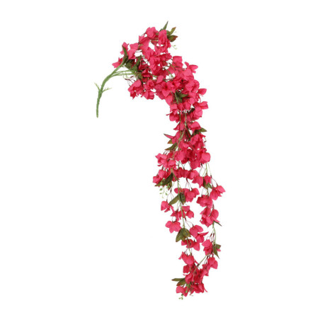 BOUGAINVILLEOKSA PUN ISO P 134