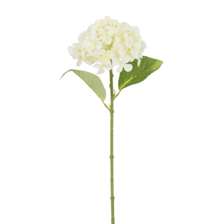HORTENSIAOKSA VAKOINEN K 40 CM
