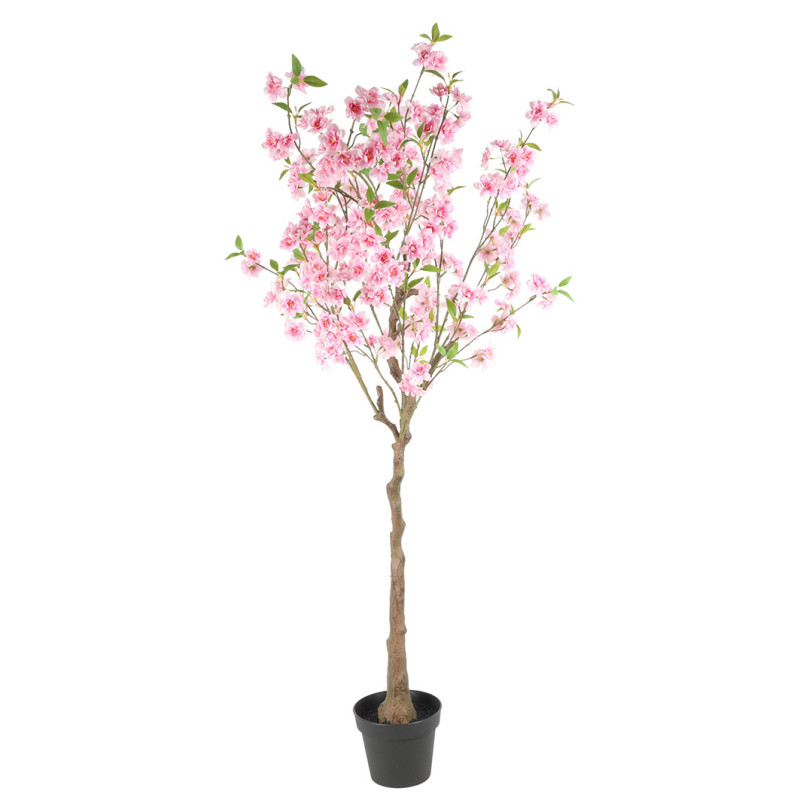 CLEMATIS PUU RUUKUSSA VPU K 160