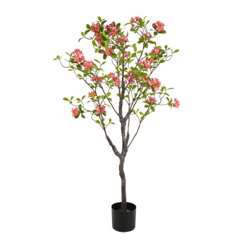 AZALEAPUU RUUKUSSA PINKKI K 120