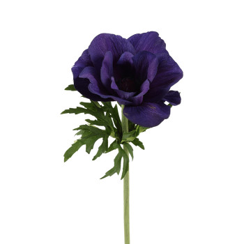 ANEMONE T.LILA K 52
