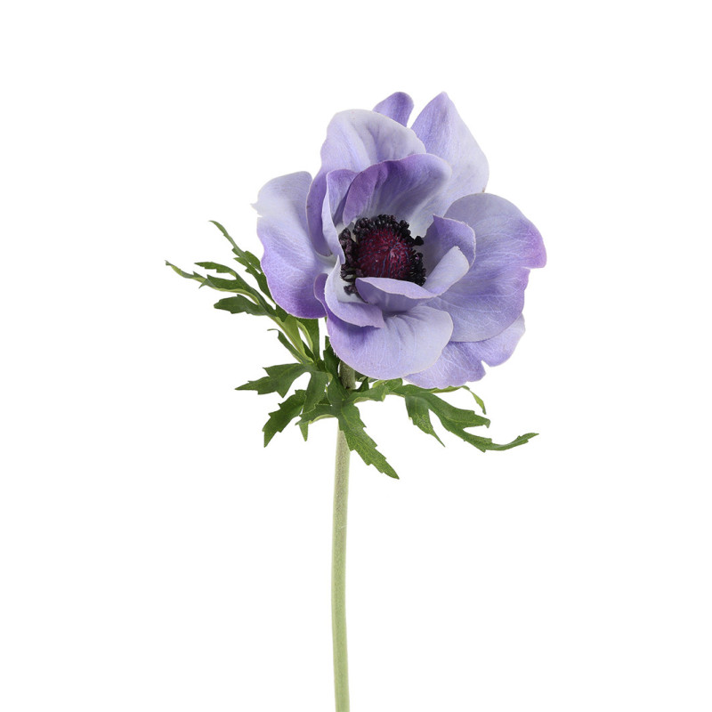 ANEMONE VAALEA LILA K 52