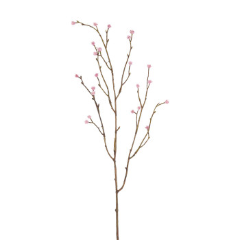 ERYNGIUM OKSA PINKKI KUKAT P 75