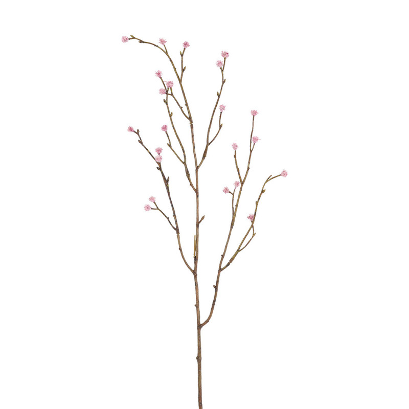 ERYNGIUM OKSA PINKKI KUKAT P 75