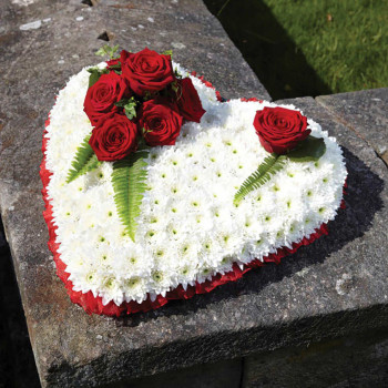 SYDÄNPK/2 UMPINAINEN 8223/38 CM