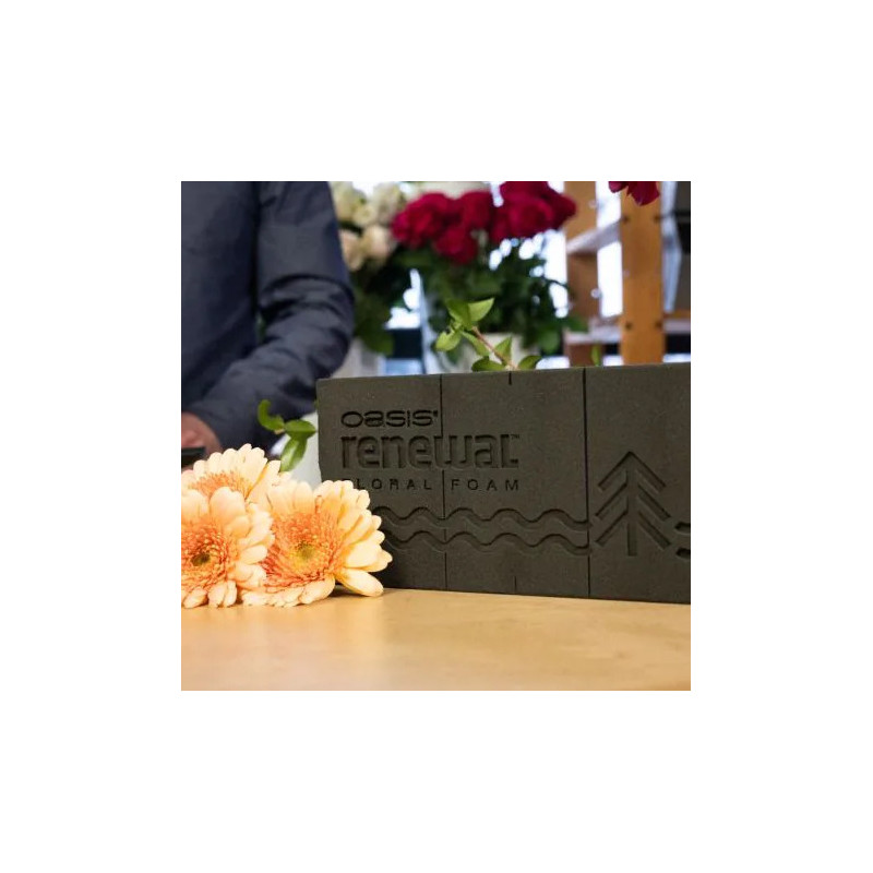 RENEWAL TIILILTK 12 KPL TIILTÄ