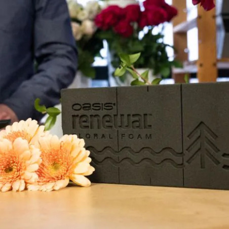 RENEWAL TIILILTK 12 KPL TIILTÄ