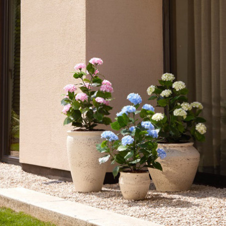 HORTENSIA PINKKI MU RUUKKU 90 CM