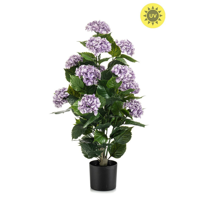 HORTENSIA VIOLETTI MU RUUKKU 90 CM