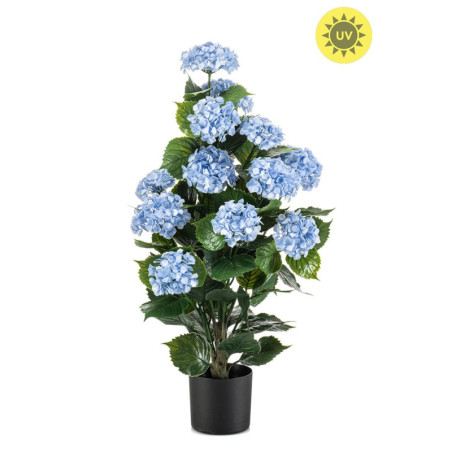 HORTENSIA VSININEN MU RUUKKU 90 CM