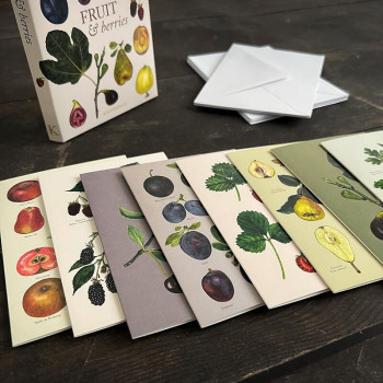 KORTTIPK/8 MARJAT JA HEDELMÄT